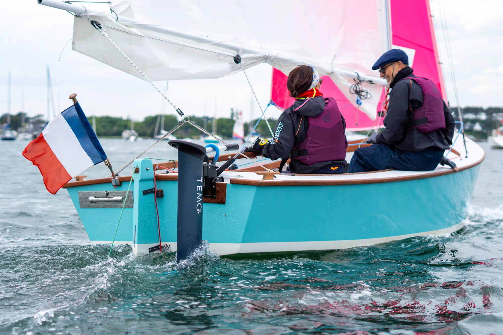 Moteur électrique TEMO·1000 - Image 12