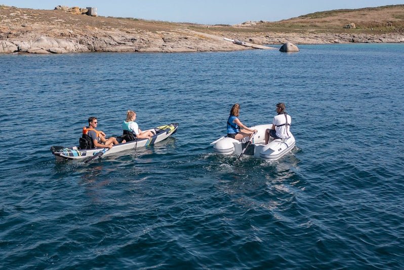 Moteur TEMO·450 édition Carbon - Image 4