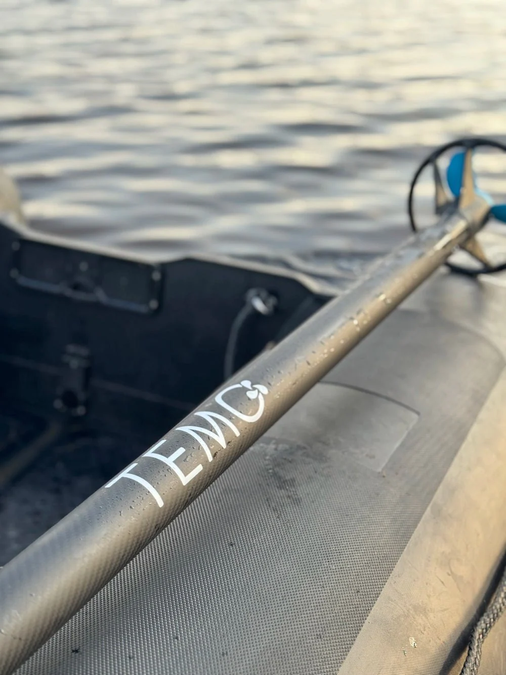 Moteur TEMO·450 édition Carbon - Image 5