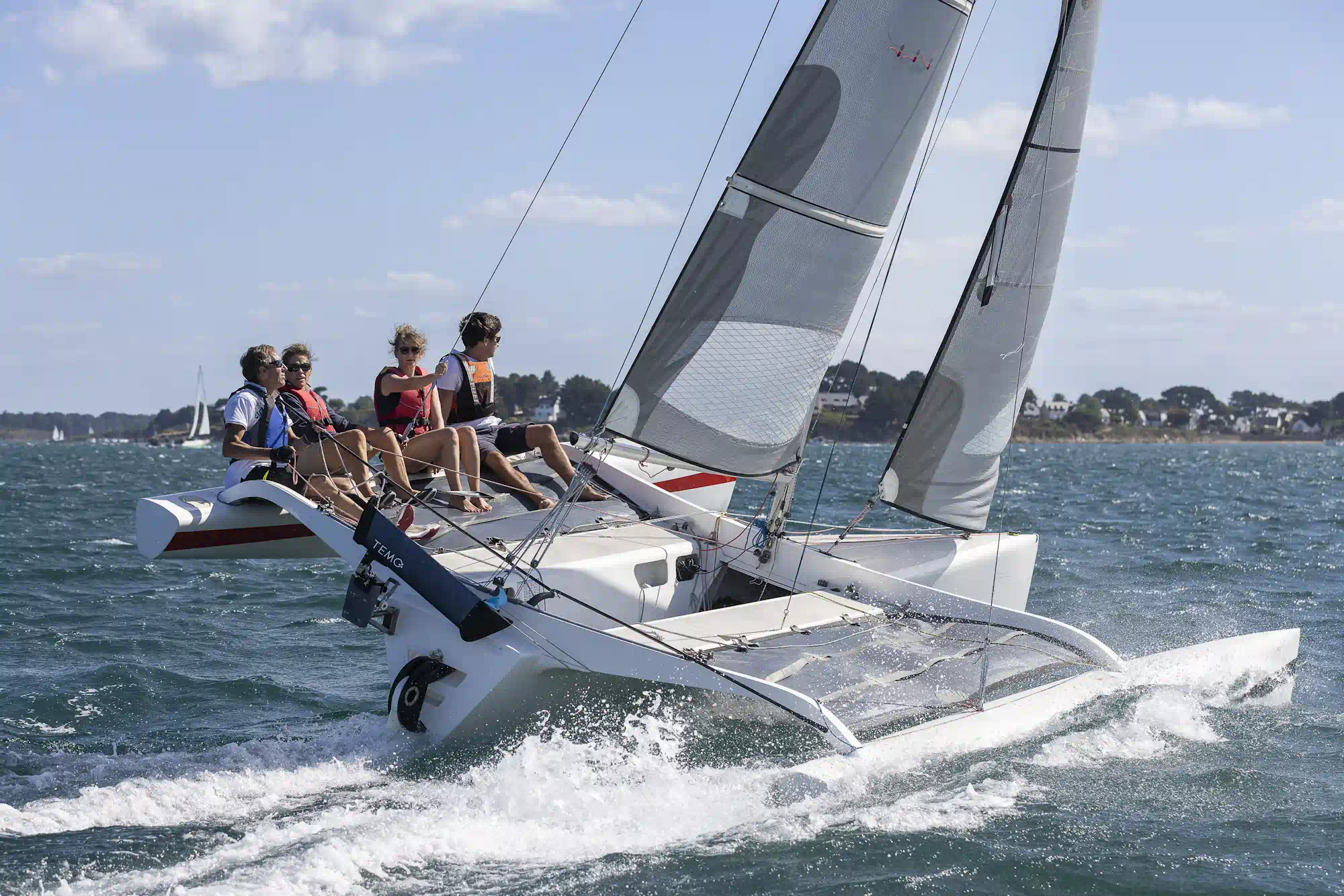 Moteur électrique TEMO·1000 - Image 10